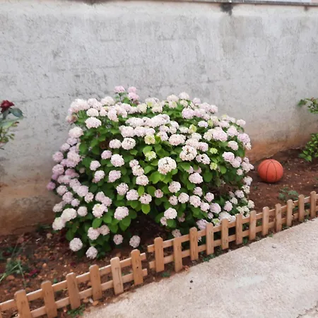 Luki Srima Apartment *