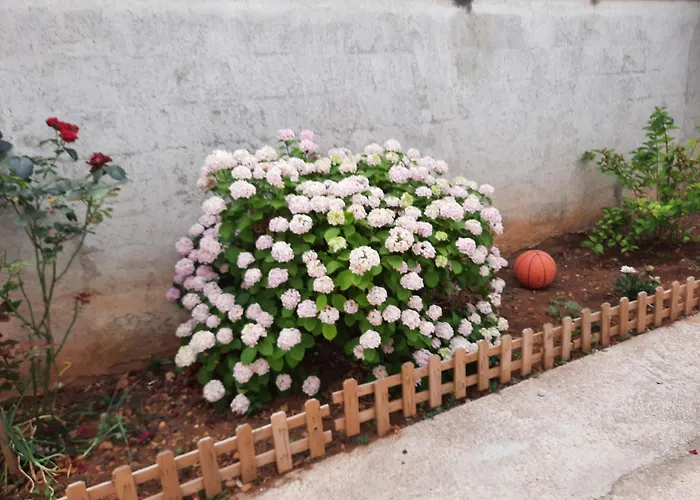 Luki Srima Apartman *